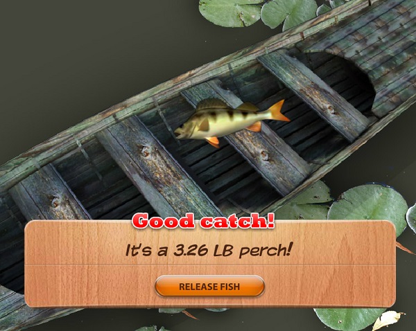 Câu thật nhiều cá để đổi thưởng 